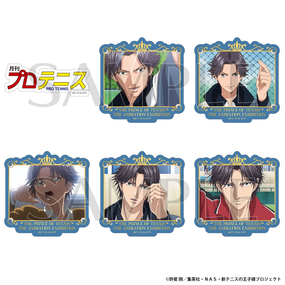 Aj ejX̉qlW ʔ́@XebJ[@vejX