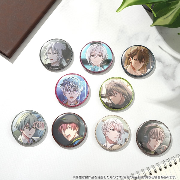 Meizaluna様　バッジコンプ2セット アクキー2セット Meizaluna様 バッジコンプ2セット アクキー2セット