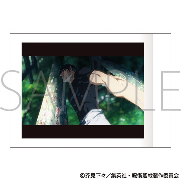 ��p����@��2���@�ς��Ⴑ��@���ʁE�ʐ� OPED Ver.