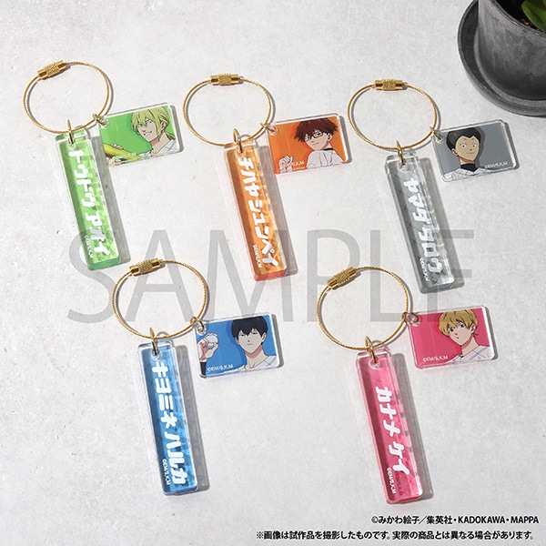 �Y�p�o�b�e���[�@�A�N�����v���[�g�L�[�z���_�[�^�v �\