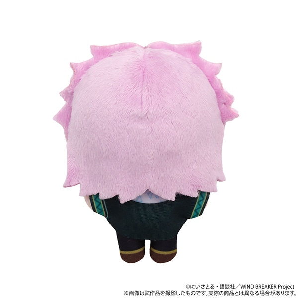 WIND BREAKER@ʂpiʂ݃}XRbgj^ːOP