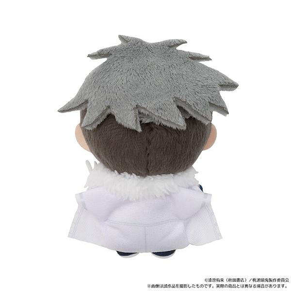 ËS@ʂpiʂ݃}XRbgj^ސ[