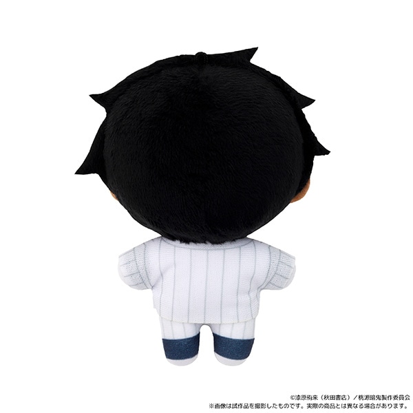 ËS@ʂpiʂ݃}XRbgj^p