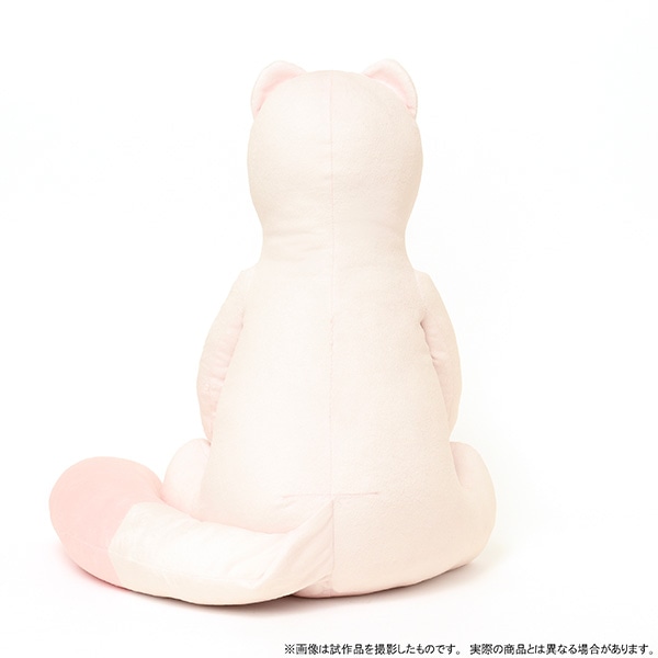 NU: J[jo@gp rbOʂ݁y󒍐Yiz