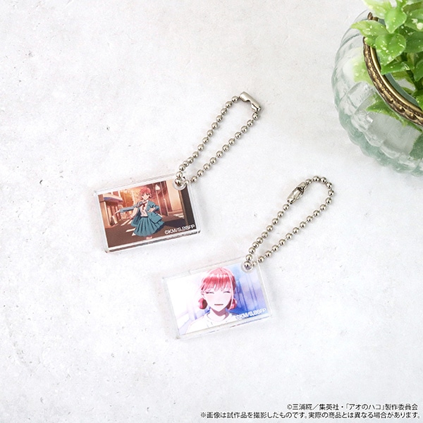 �A�I�̃n�R�@�A�N�����L�[�z���_�[�R���N�V�����^���� ��