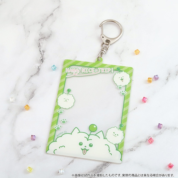 18TRIP@dJ[hz_[^イ܂