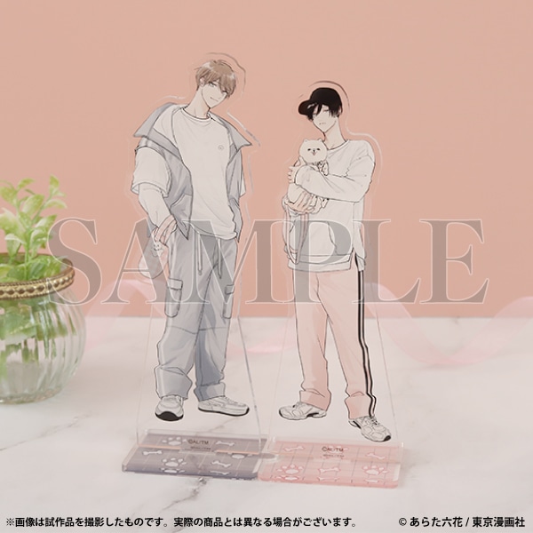 SiE͖\ꂽB@ANX^h@ @U
