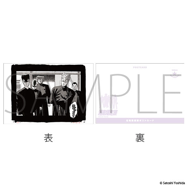 Ó씚POP-UP -艮̋Aҍ Since 1982-@ʌ|XgJ[hZbg