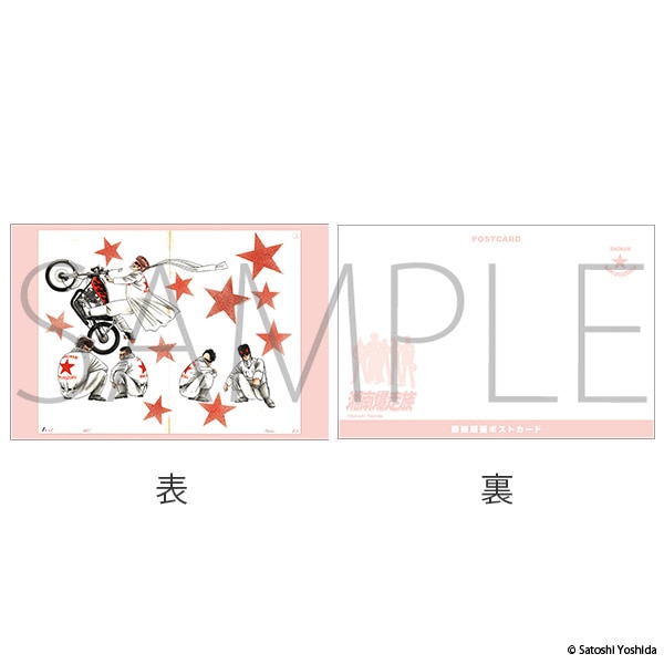 Ó씚POP-UP -艮̋Aҍ Since 1982-@G|XgJ[hZbg