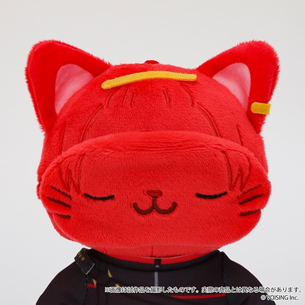 ꂢ@withCAT AC}XNtʂ݃L[z_[Plus^肤