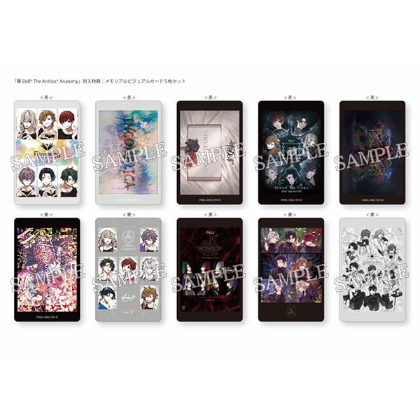 �y�@���O�Z�b�g�z�yDVD�z��Doll* The Anthos* Anatomy
