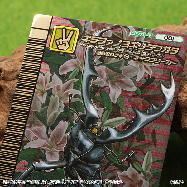 再販】甲虫王者ムシキング メタルカードセット: キャラグッズ 