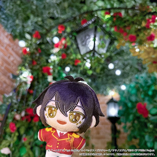 KING OF PRISM�i����Łj�@�ʂ��p���i�ʂ�����݃}�X�R�b�g�j�^�_�l�R�E�W