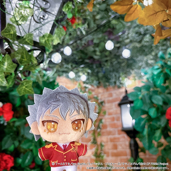 KING OF PRISM�i����Łj�@�ʂ��p���i�ʂ�����݃}�X�R�b�g�j�^�m�ȃJ�d�L