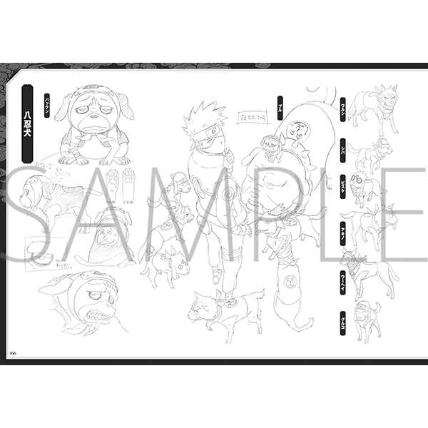 NARUTO-�i���g-�@�ݒ莑���W�Z�b�g