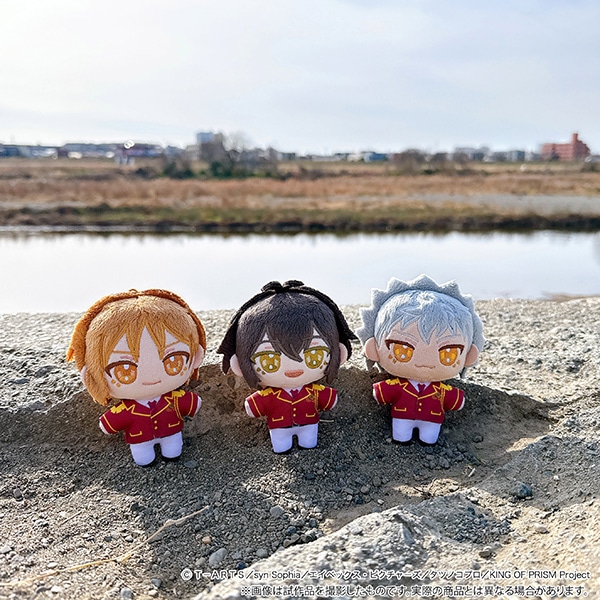 KING OF PRISM�i����Łj�@�ʂ��p���i�ʂ�����݃}�X�R�b�g�j�^�m�ȃJ�d�L