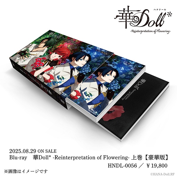 yBDzDoll* -Reinterpretation of Flowering- ㊪yؔŁz