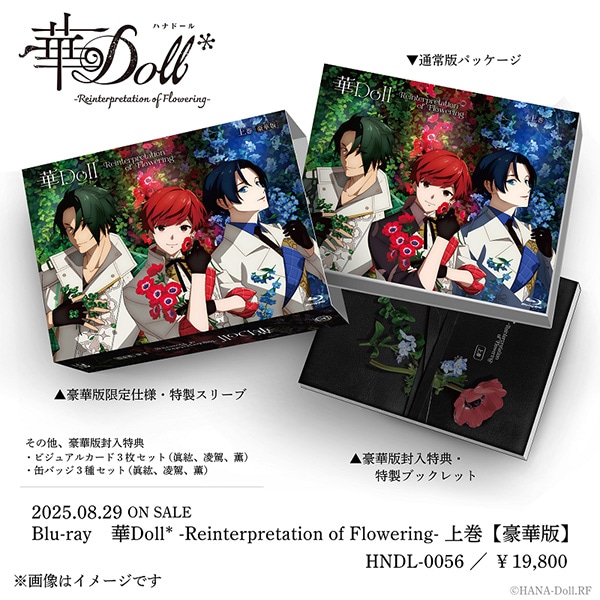 yBDzDoll* -Reinterpretation of Flowering- ㊪yؔŁz