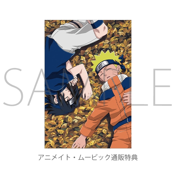 NARUTO－ナルト－ 豪華設定資料集セット【受注生産商品】: キャラ 