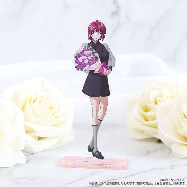 ����Łw�@����m�K���_��SEED FREEDOM�x�@�A�N�����X�^���h�^���i�}���A�E�z�[�N�@�q�ԑ��r