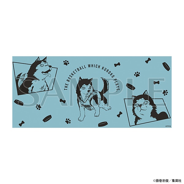 �X�e�����X�T�[���^���u���[�@���q�̃o�X�P����W�@����ʔ�