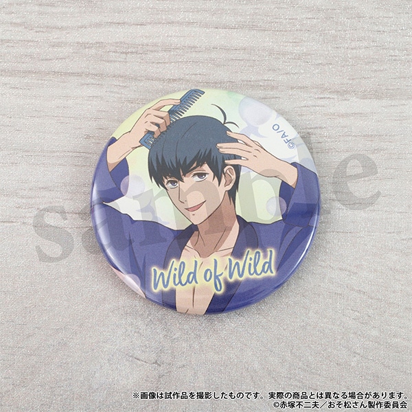 ����������@�ʃo�b�W�Z�b�g�`F6�`