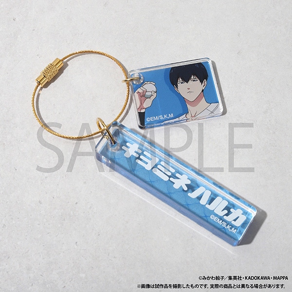 �Y�p�o�b�e���[�@�A�N�����v���[�g�L�[�z���_�[�^�v �\