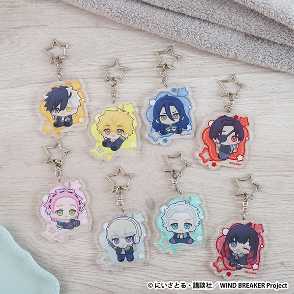 WIND BREAKER@ANL[z_[^ Y@ʂp 