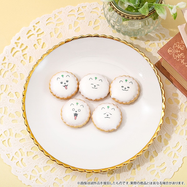 18TRIP@イ܂̃ACVOrXPbg