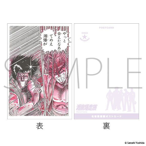Ó씚POP-UP -艮̋Aҍ Since 1982-@ʌ|XgJ[hZbg