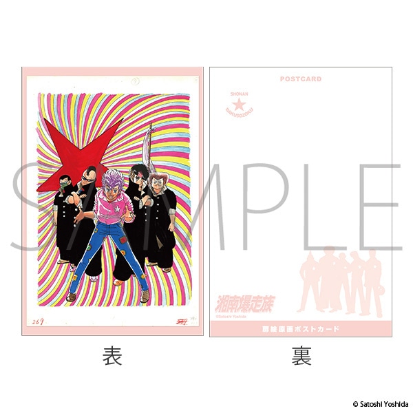 Ó씚POP-UP -艮̋Aҍ Since 1982-@G|XgJ[hZbg
