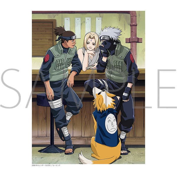 NARUTO-�i���g-�@�ݒ莑���W�Z�b�g