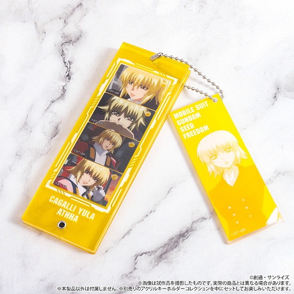 ����Łw�@����m�K���_��SEED FREEDOM�x�@�J�X�^���A�N�����L�[�z���_�[�^�J�K���E�����E�A�X�n