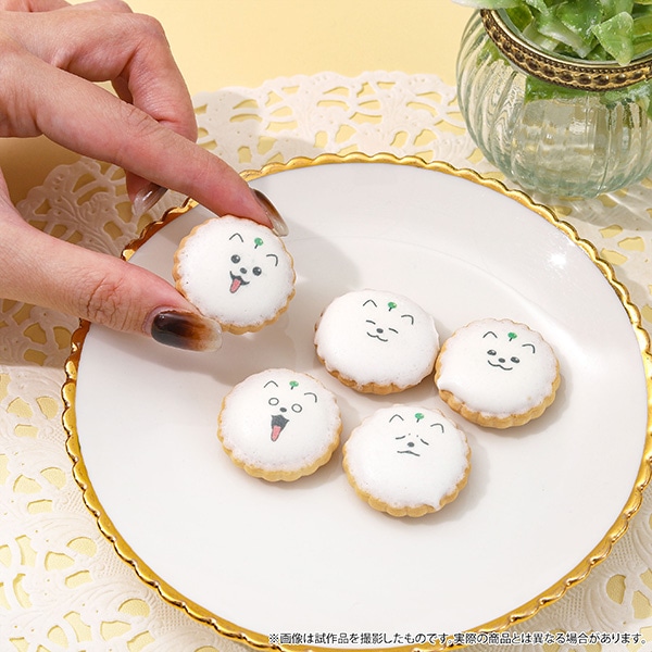 18TRIP@イ܂̃ACVOrXPbg