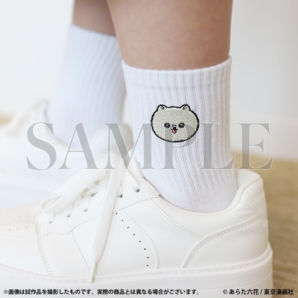 SiE͖\ꂽB@hJC