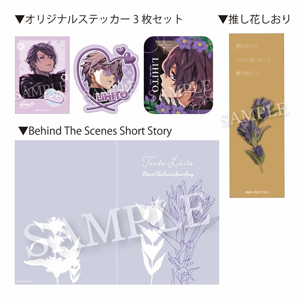 �y�������l�Z�b�g�z�yDVD�z��Doll* The Anthos* Anatomy