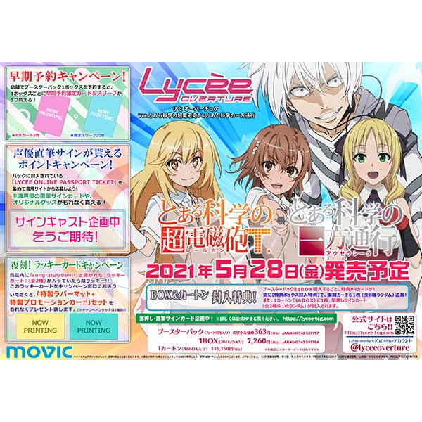 一方通行 アクセラレータ スリーブ lycee-