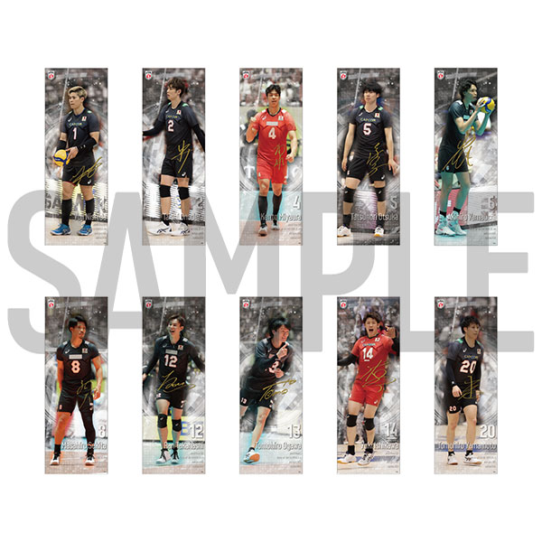 バレーボール男子日本代表　複製サイン入りスリムポスターコレクション2024