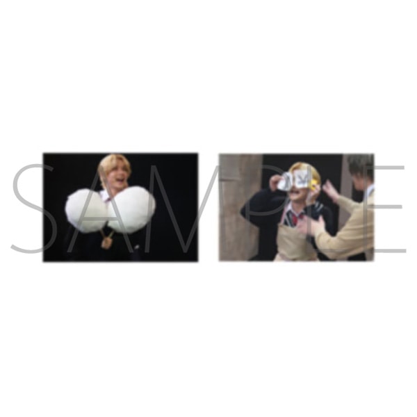 2.5次元ダンスライブ「ツキウタ。」ステージ第15幕「SCHOOL REVOLUTION 月野学園物語 -百年アオハル-」同時通販 涙のアオハル写真館ブロマイドセット(2枚入り)師走 駆