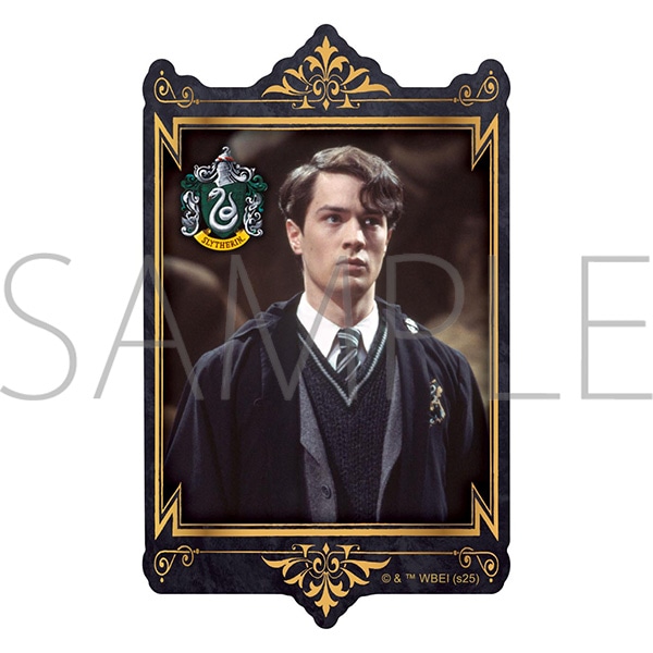 ハリーポッター Harry Potter スナマイ メタルチャーム セット②
