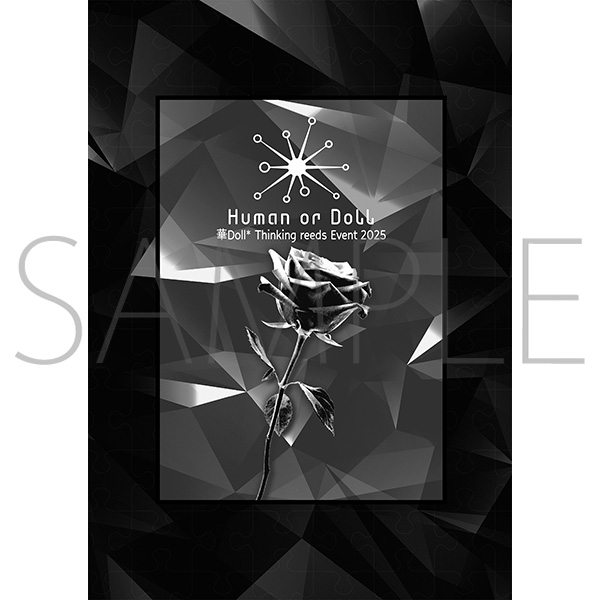 華Doll* Thinking reeds Event アクリルパネル 特典 Human or Doll』 華Doll* Thinking reeds Event 2025販売記念