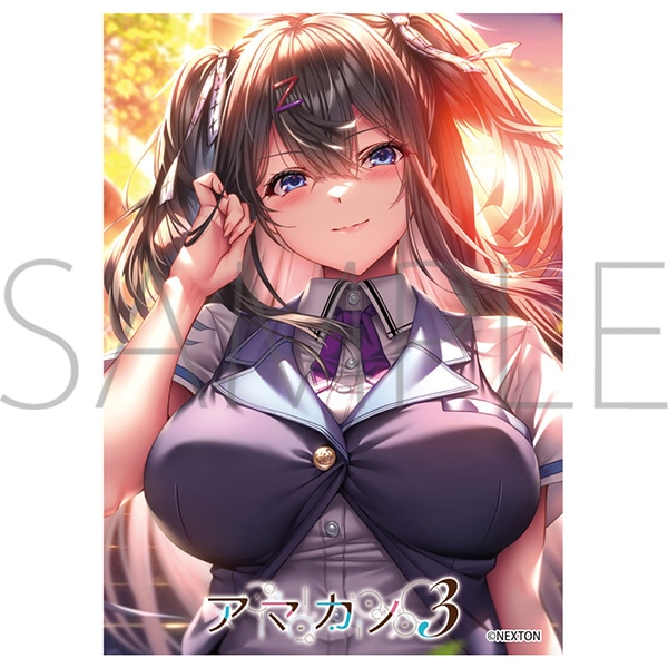 きゃらスリーブコレクション マットシリーズ ネクストン アマカノ3 鴻さゆみ(MT2282)