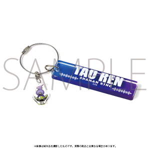 �V���[�}���L���O�W�S�[�C���O�o�_�J�ËL�O�ʔ́@�A�N�����L�[�`���[���@���@