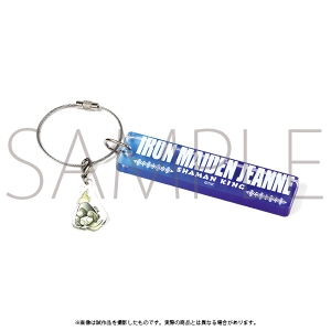 �V���[�}���L���O�W�S�[�C���O�o�_�J�ËL�O�ʔ́@�A�N�����L�[�`���[���@�A�C�A�����C�f���E�W�����k