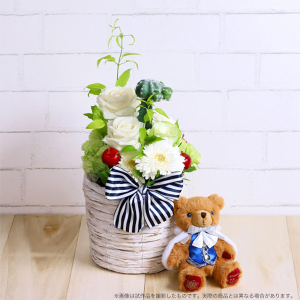 VejX̉ql@aZbg@sy󒍐Yiz