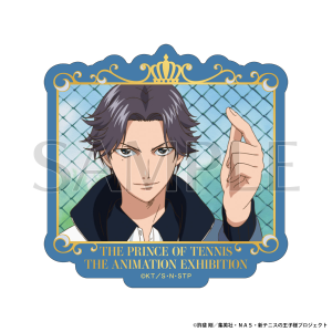 Aj ejX̉qlW ʔ́@XebJ[@ՕiB