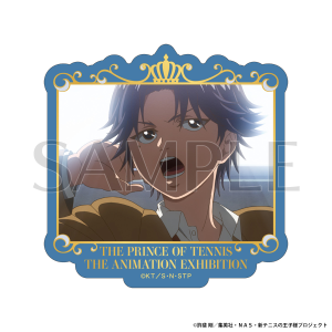 Aj ejX̉qlW ʔ́@XebJ[@ՕiC