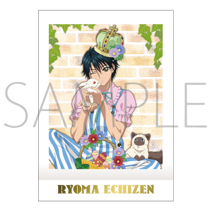 新テニスの王子様 ぱしゃこれ テニプリスト