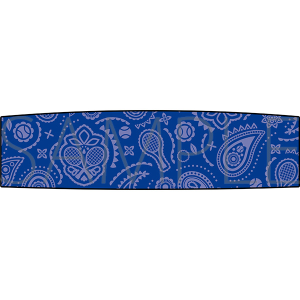 新テニスの王子様 ヘアバンド/青春学園中等部