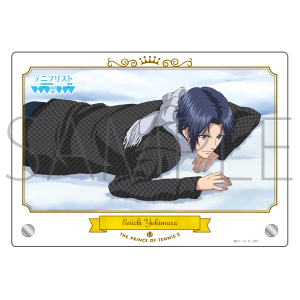 VejX̉ql@ANplE~@K@Ĕ